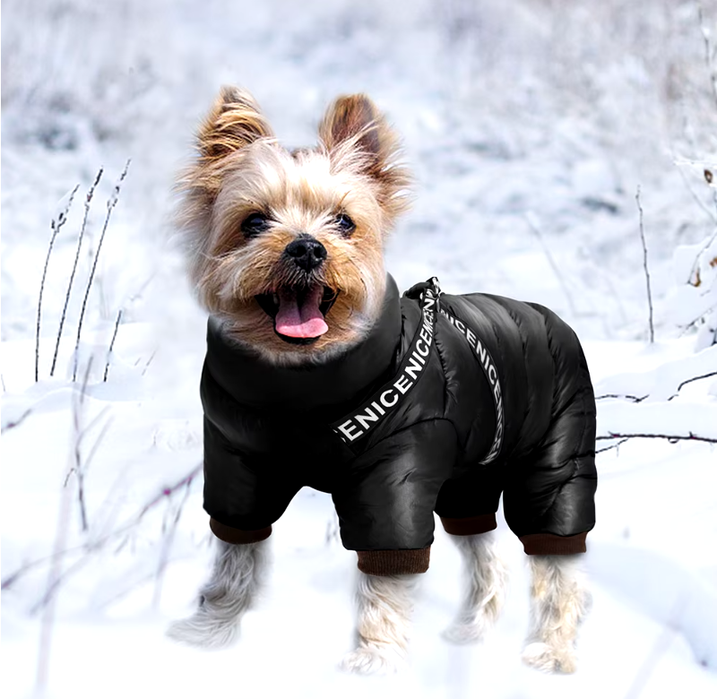 Bellowag Puffy Winter Jacket V1