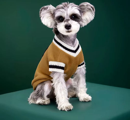 Bellowag College Sweater V1