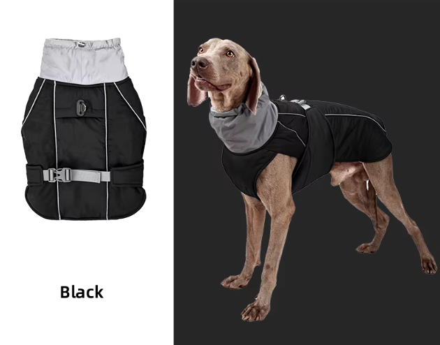 Bellowag Rain/Winter Jacket V1
