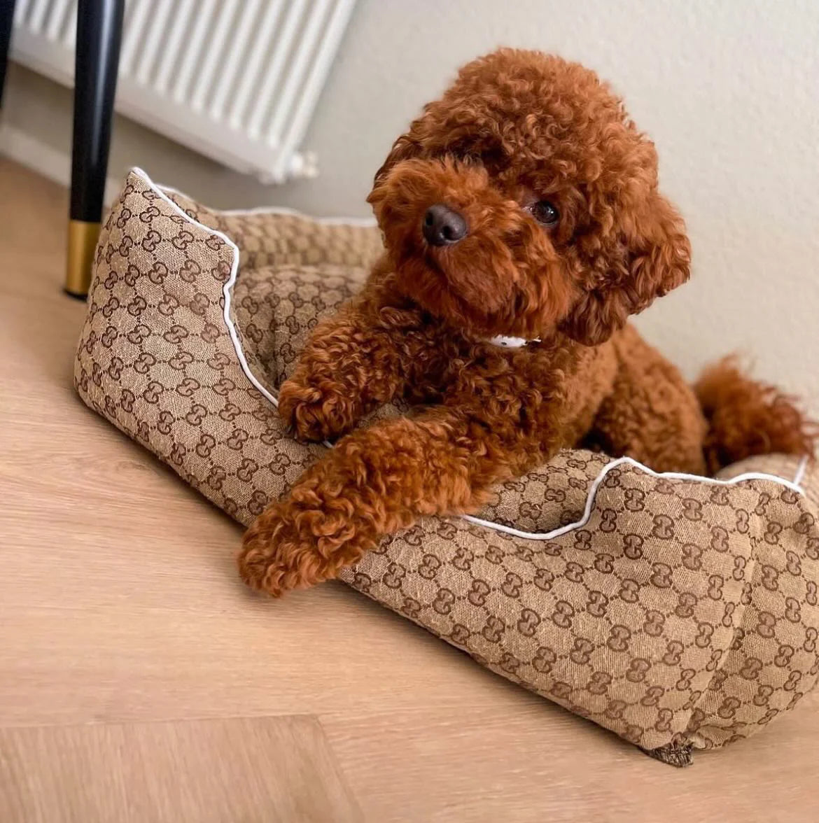 Guccino Bed V2