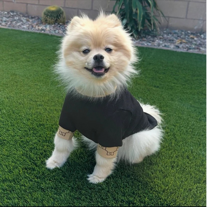 Guccino Turtle Neck V2